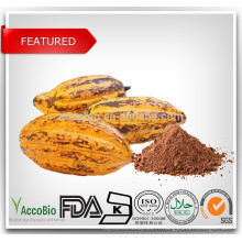 Extrait de cacao naturel de haute qualité 10% 20% poudre de théobromine